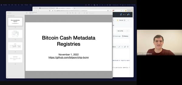 Bitcoin Cash Metadata Registries