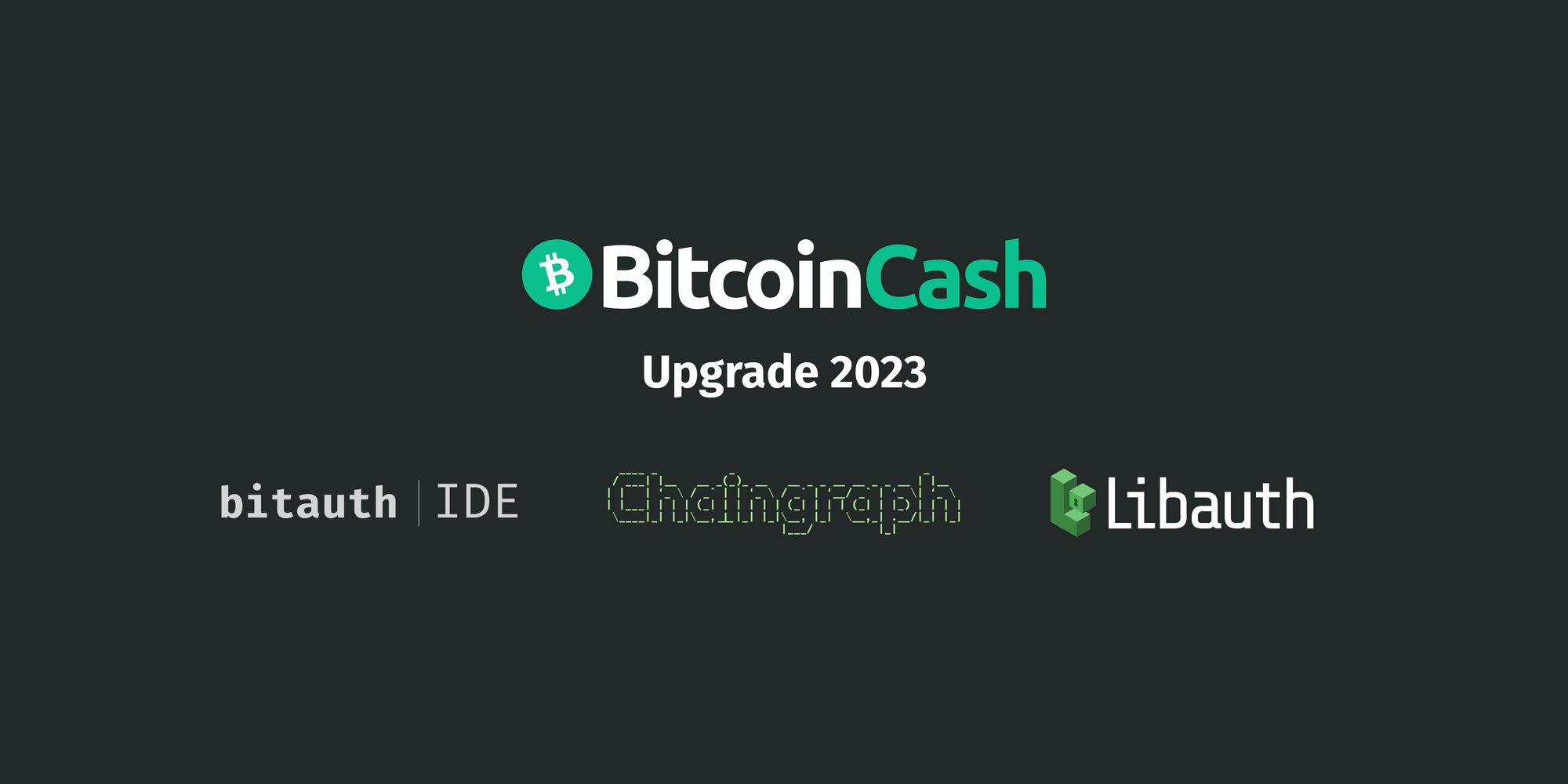 Bitcoin Cash Upgrade 2023