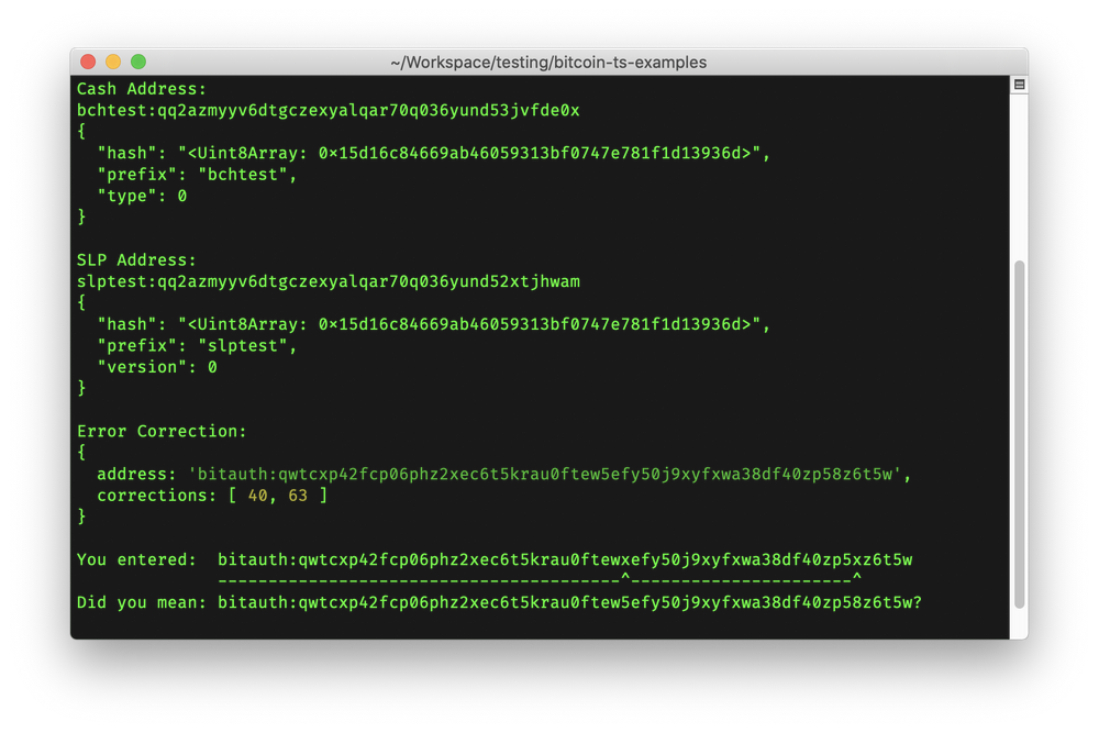 New Release CashAddress Error Correction for Javascript