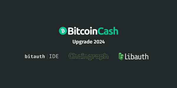 Bitcoin Cash Upgrade 2024